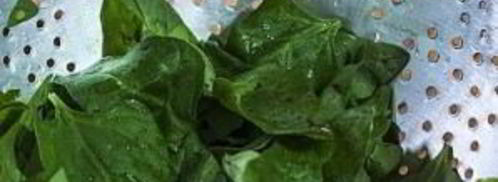 лазанья с баклажанами. Шаг 4