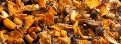 лазанья с грибами. Шаг 3