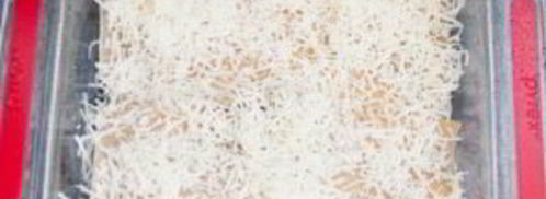 лазанья с курицей и овощами. Шаг 12