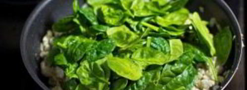 лазанья с курочкой. Шаг 4