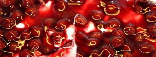 творожно-вишневый десерт лазанья. Шаг 5