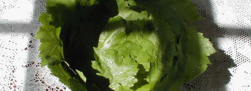 виноградная лазанья. Шаг 2