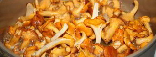 спагетти с лисичками в сливочном соусе. Шаг 3