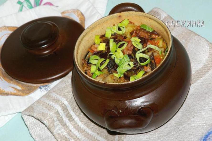 Рецепт пражанина — мясо с овощами, черносливом и грибами в горшочках