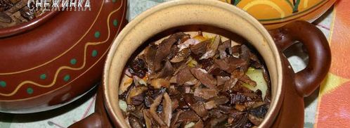 пражанина — мясо с овощами, черносливом и грибами в горшочках. Шаг 14