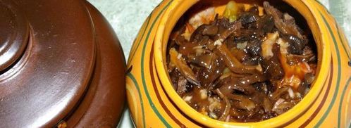 пражанина — мясо с овощами, черносливом и грибами в горшочках. Шаг 15