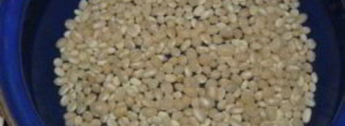 свинина с фасолью в горшочках. Шаг 2