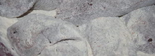 говяжья печень закусочная. Шаг 2