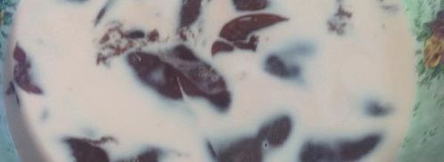 жареная фуагра с шоколадным соусом. Шаг 2