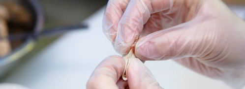 уральские пельмени с говядиной. Шаг 6