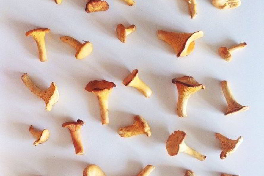 Рецепт рагу из лисичек и баклажанов