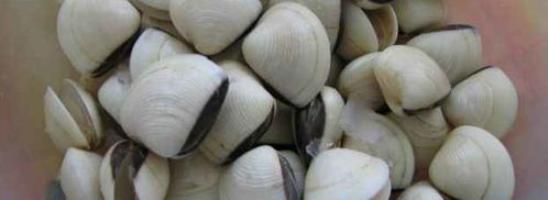 ризотто черное с дарами моря. Шаг 10