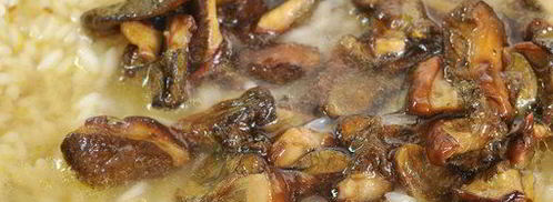 ризотто с лесными грибами. Шаг 8