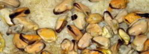 ризотто с мидиями. Шаг 4