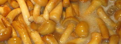 зеленое ризотто с опятами и креветками. Шаг 2