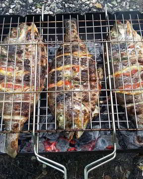 Дорада с овощами, запеченая на углях