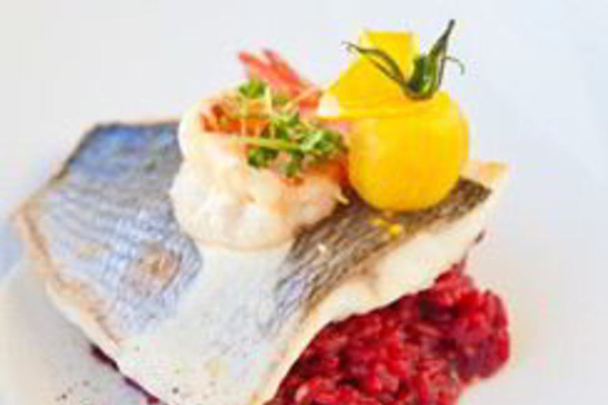 Рецепт дорада со свекольным ризотто