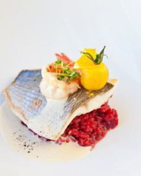 Дорада со свекольным ризотто