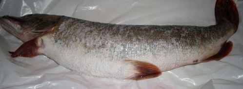 фаршированная щука. Шаг 2