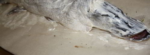 фаршированная щука. Шаг 18