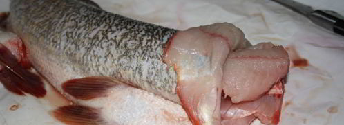 фаршированная щука. Шаг 5