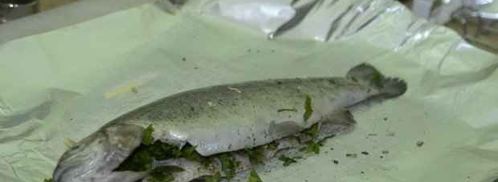 форель романтика. Шаг 8