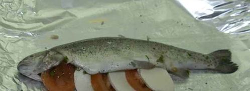 форель романтика. Шаг 10