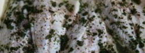 лещ с овощами. Шаг 11