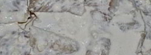 минтай с картошкой. Шаг 7