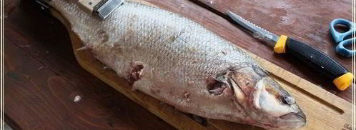 рыба в капусте. Шаг 2