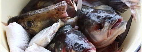 рыба в капусте. Шаг 4