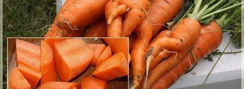 рыба в капусте. Шаг 10