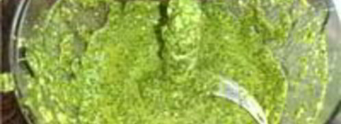 рыба, запеченная с песто. Шаг 3