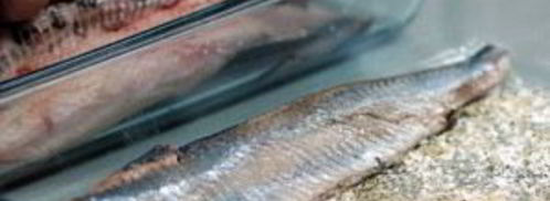 селедка соленая. Шаг 4