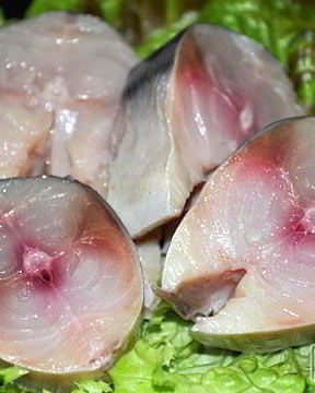 Скумбрия домашнего холодного копчения