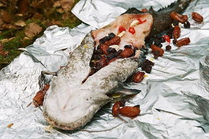 Рецепт сом с финиками и изюмом на углях