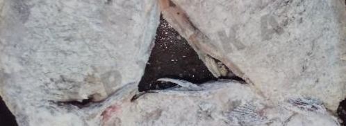 жареные карасики в сметане с петрушкой. Шаг 7