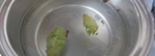 капустка к шашлыку. Шаг 2