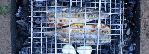 шашлык из скумбрии на решетке. Шаг 9