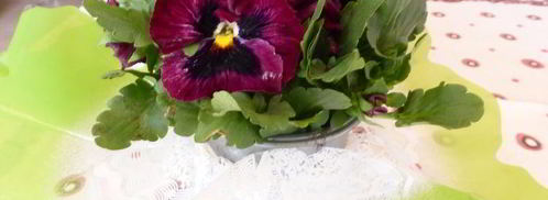 шашлык в тандыре к 8 марта. Шаг 8