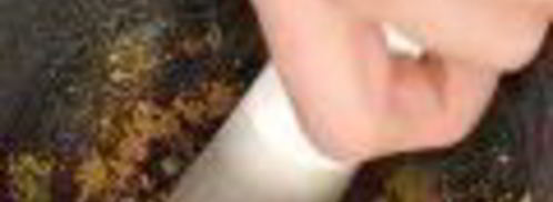 свиные шашлыки в кокосовой стружке. Шаг 2