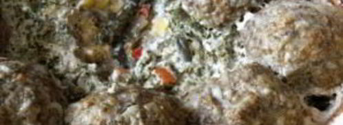 тефтели с овощами в сливках. Шаг 5