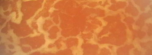 тефтели в томатном соусе. Шаг 2