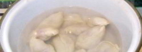 вареники на воде. Шаг 8