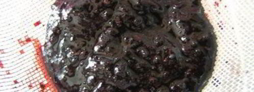 вареники с черникой и соусом под шафе. Шаг 13