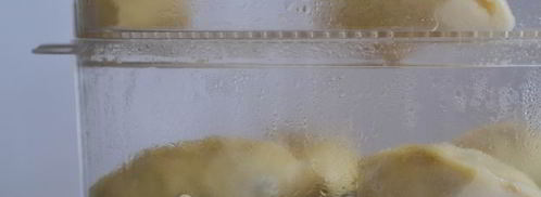 вареники с вишней на пару. Шаг 15