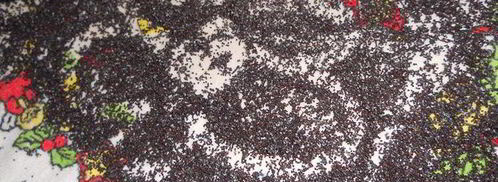 вкуснейшие вареники с маком. Шаг 4