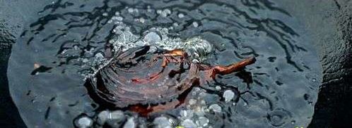 жаркое в казане. Шаг 49