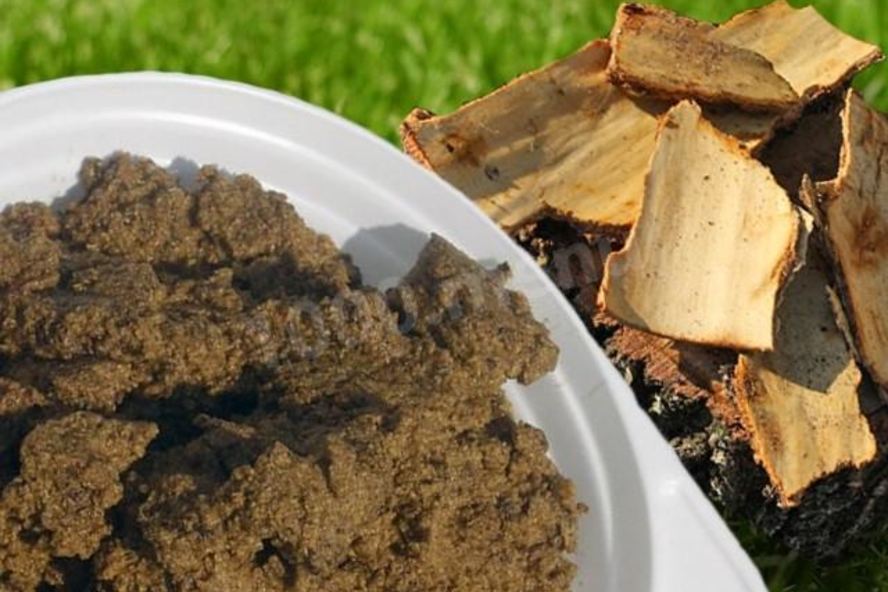 Рецепт березовая каша