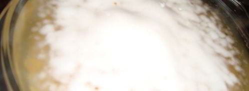 гороховая каша с мускатным орехом и соевым соусом. Шаг 2